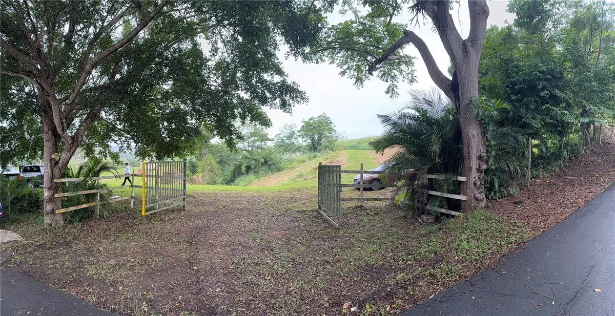 Route 159, Corozal, PR 00783 - Image #1