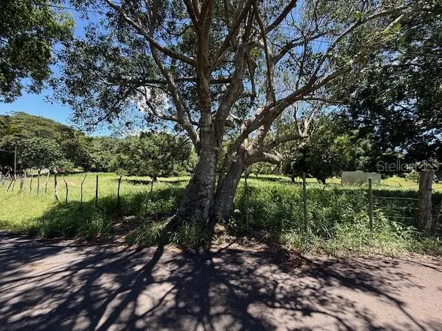 Bo Llanos Tuna, Cabo Rojo, PR 00623 - Image #2