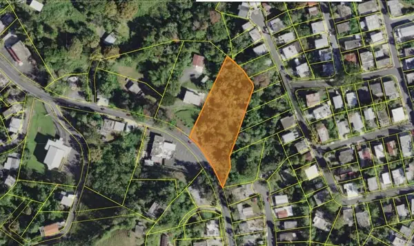 Carr 829, Km 2.3, BAYAMON, PR 00956