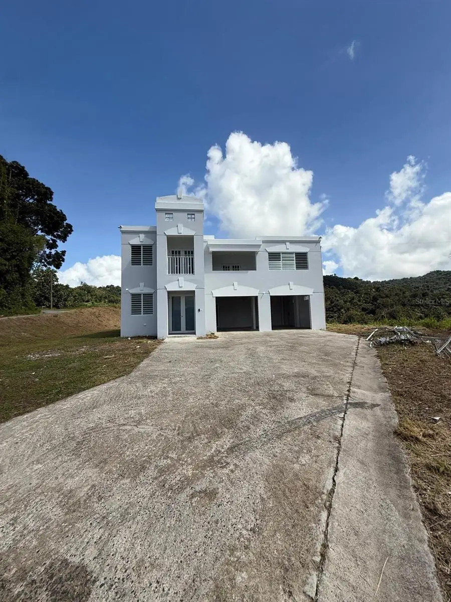 PR 918 Juan Dulio Cerr Gordo, San Lorenzo, PR 00754 - Image #3