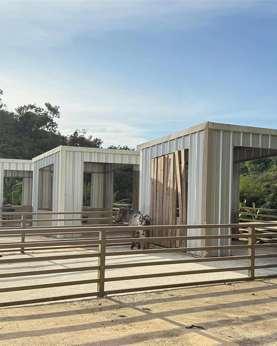 Carr 119 Carr 119, San Sebastian, PR 00685 - Image #2