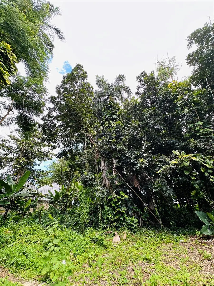 carr 181 Bo. Las Cuevas, Trujillo Alto, PR 00976 - Image #3