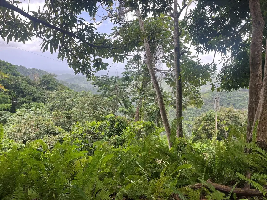 KM 19.9 Carr 128, Yauco, PR 00698 - Image #2