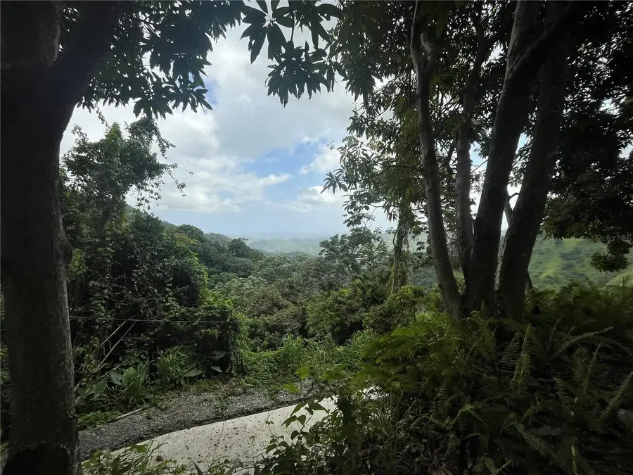 KM 19.9 Carr 128, Yauco, PR 00698 - Image #3