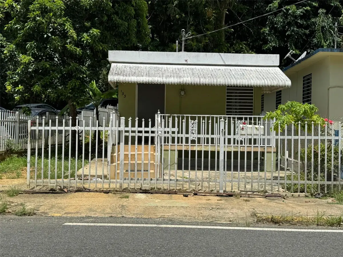 140 Ramon Torres, Florida, PR 00650 - Image #1