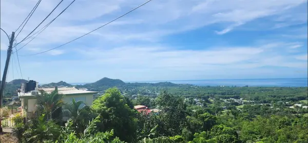 Carr. 412, Km. 4.8 Calle Pascual Nieves, Bo. Calvache, RINCON, PR 00677