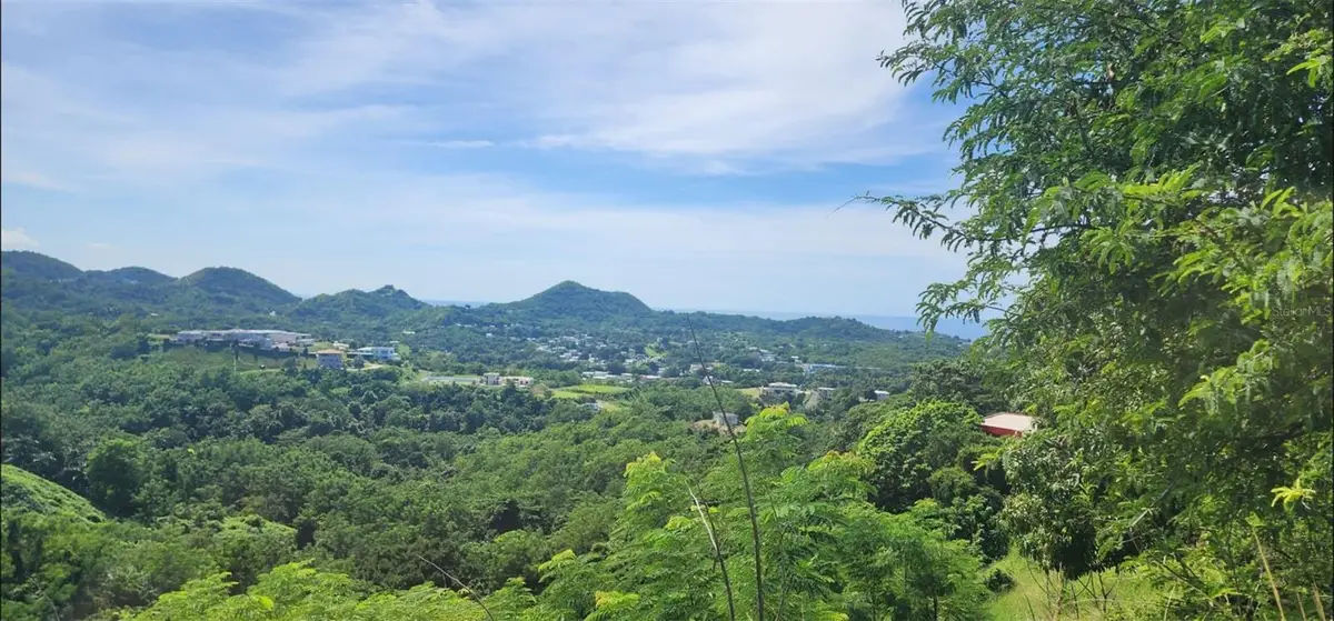 Carr. 412, Km. 4.8 Calle Pascual Nieves, Bo. Calvache, Rincon, PR 00677 - Image #1