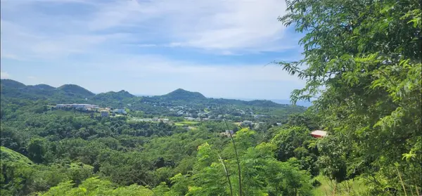 Carr. 412, Km. 4.8 Calle Pascual Nieves, Bo. Calvache, RINCON, PR 00677