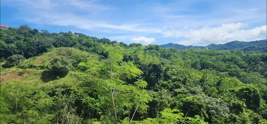 Carr. 412, Km. 4.8 Calle Pascual Nieves, Bo. Calvache, Rincon, PR 00677 - Image #2