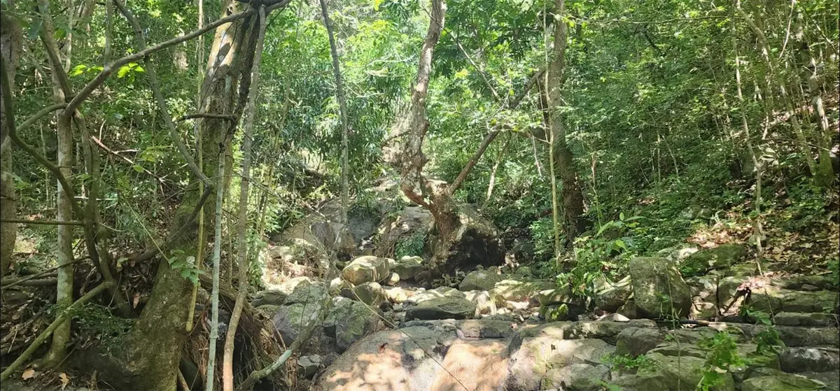 Carr. 412, Km. 4.8 Calle Pascual Nieves, Bo. Calvache, Rincon, PR 00677 - Image #1