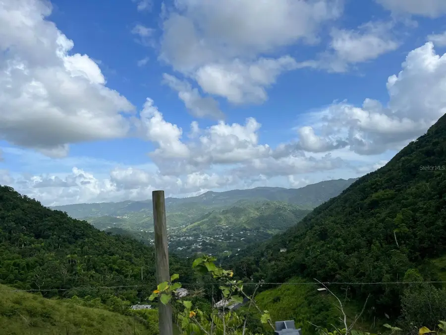 Bo. Honduras, Cidra, PR 00739 - Image #2