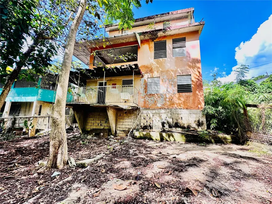 Carr 159 Sostre, Corozal, PR 00783 - Image #2