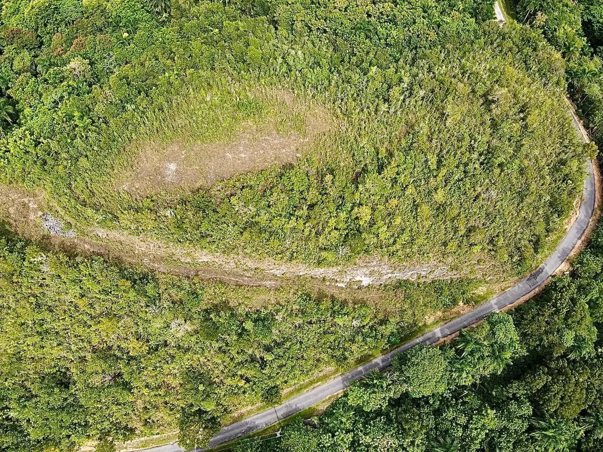 PR-446 Km 7.5, Isabela, PR 00662 - Image #1