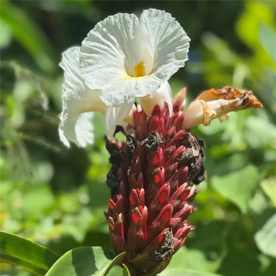 PR-446 Km 7.5, Isabela, PR 00662 - Image #3