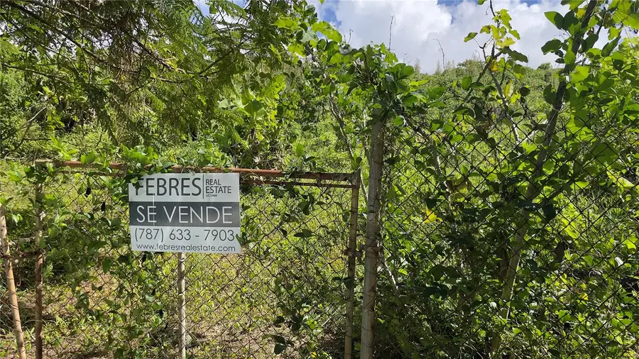 960 km 2.3 Lot B Bo Guzman Arriba, Rio Grande, PR 00745 - Image #2