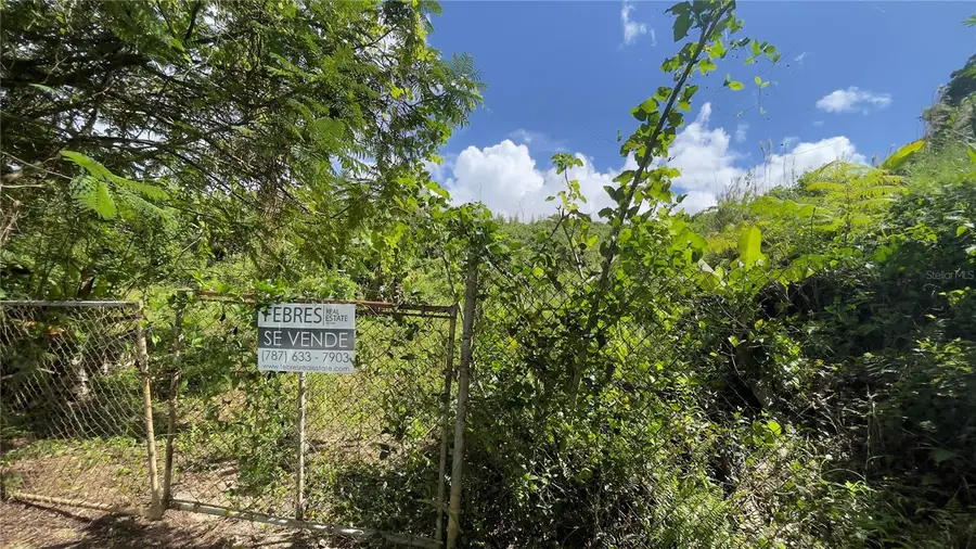 960 km 2.3 Lot B Bo Guzman Arriba, Rio Grande, PR 00745 - Image #3