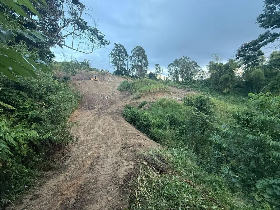 Alturas De Valencia #LOT 21, Juncos, PR 00777 - Image #3