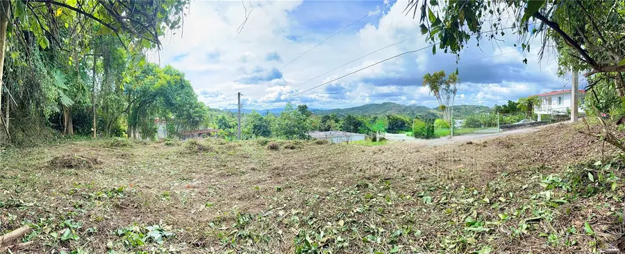 Calle Pineros, Cayey, PR 00736 - Image #2