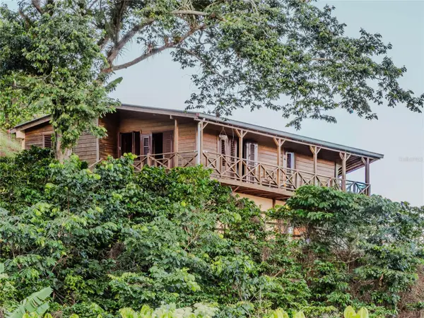 SR 526 Bosque Tanama, ADJUNTAS, PR 00601