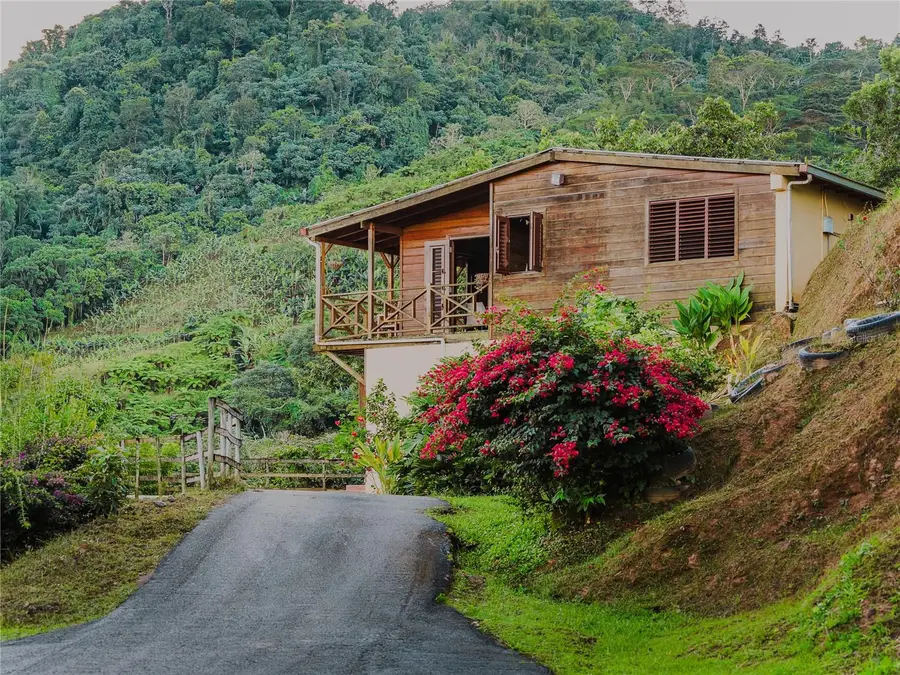 SR 526 Bosque Tanama, Adjuntas, PR 00601 - Image #2