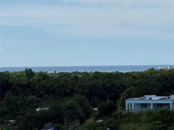 Carr 411 Km 0.2 Int Bo Calvache, RINCON, PR 00677