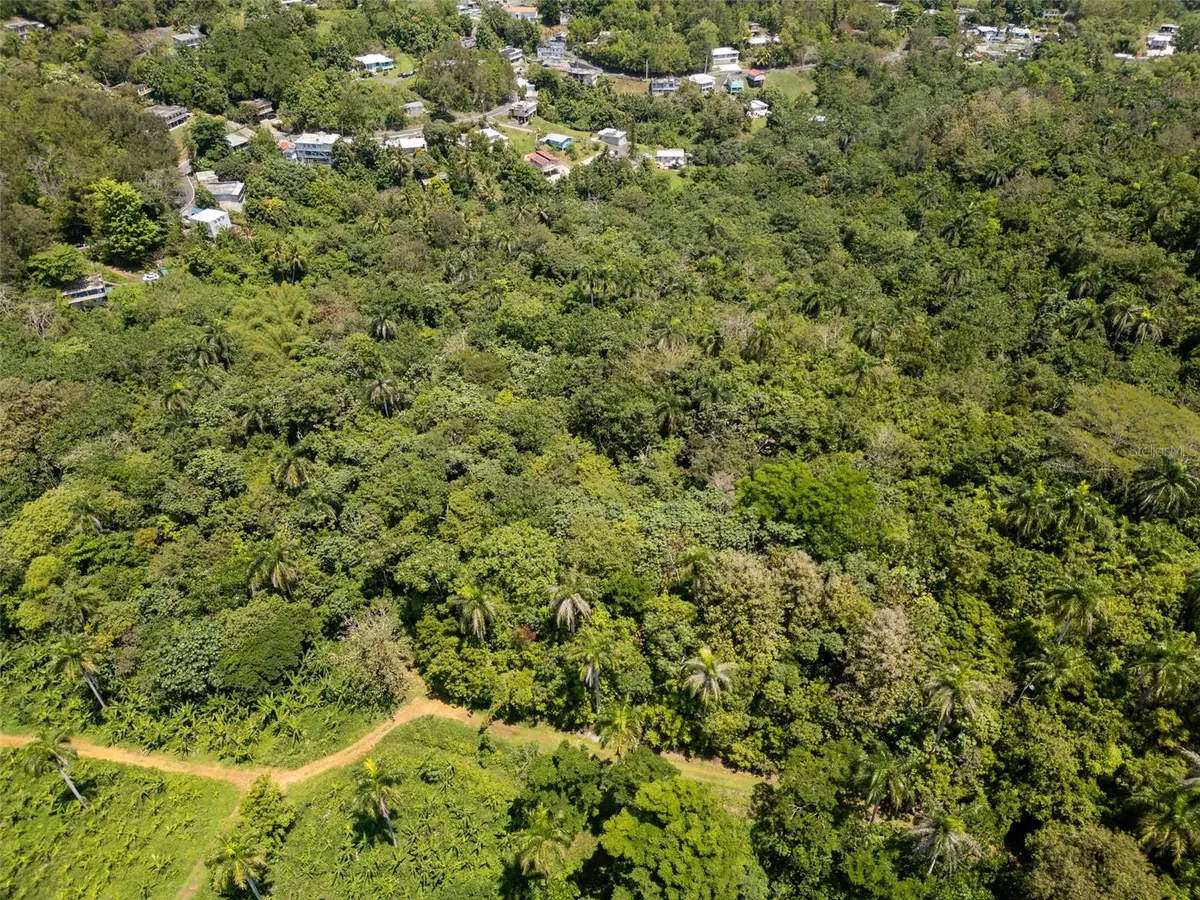 165 Km 7.3 Bo Galateo, Toa Alta, PR 00953 - Image #1