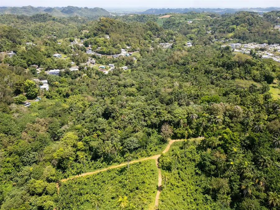 165 Km 7.3 Bo Galateo, Toa Alta, PR 00953 - Image #3