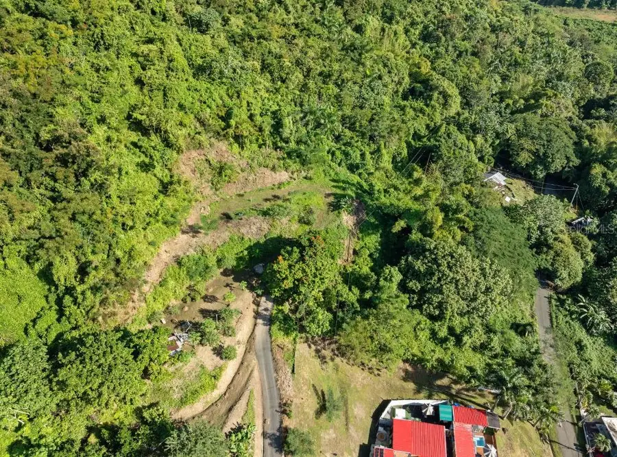 Solar 2. Barrio Daguey, Urb. Sagrado Corazon, Anasco, PR 00610 - Image #3