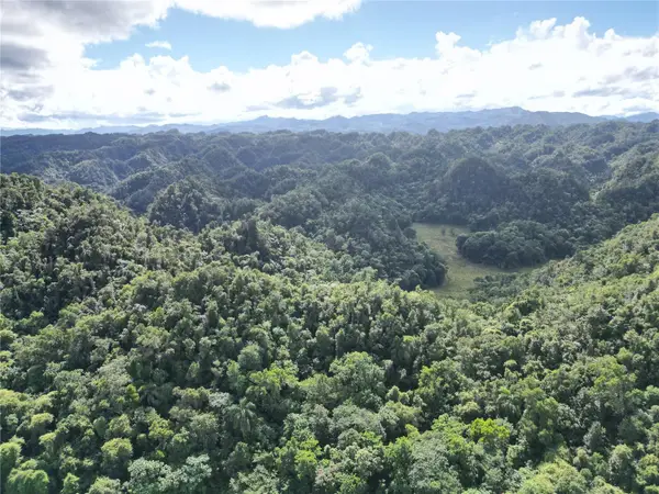 Carretera Pr-628, Km. 5.2, SABANA HOYOS, PR 00688