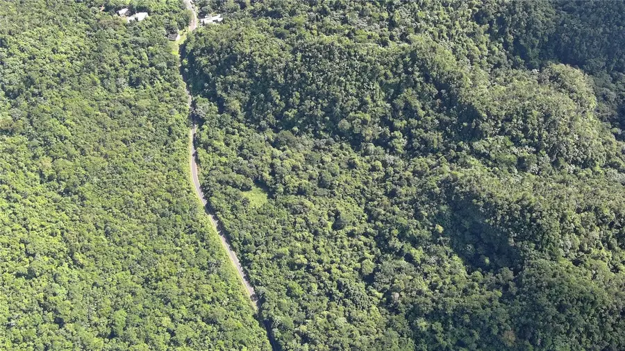 Carretera Pr-628, Km. 5.2, Sabana Hoyos, PR 00688 - Image #3