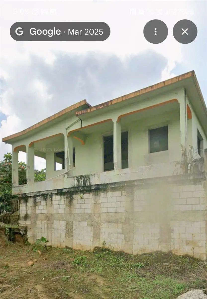 Carr. 181 km 13.9 Barrio Espino, San Lorenzo, PR 00754 - Image #1
