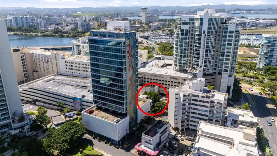 55 Las Palmeras, San Juan, PR 00901 - Image #2