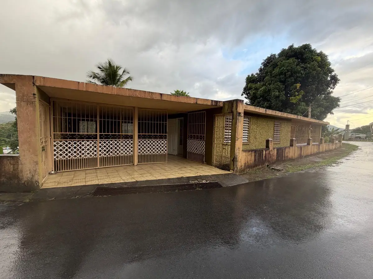 Carr # 31, Km 10,0 Sector El Comun, Rio Blanco, PR 00744 - Image #1