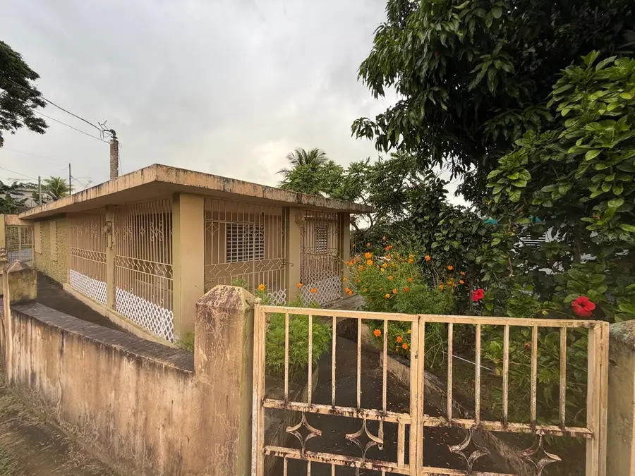 Carr # 31, Km 10,0 Sector El Comun, Rio Blanco, PR 00744 - Image #2