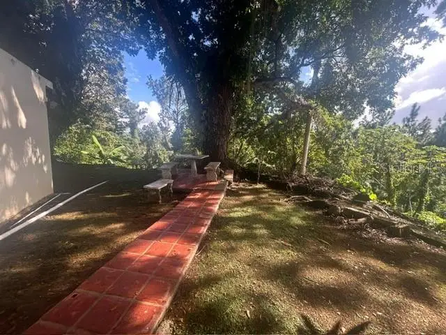 A Urb. La Esmeralda, Caguas, PR 00727 - Image #3