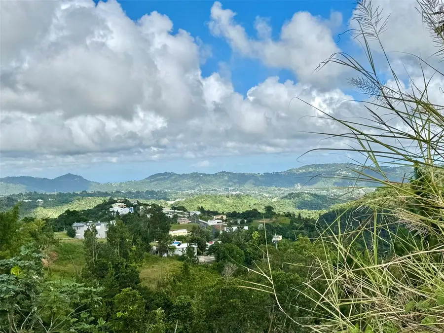 Calle 5, Caguas, PR 00727 - Image #2