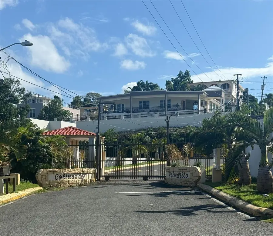 Colinas De Palmarito, Arecibo, PR 00612 - Image #3