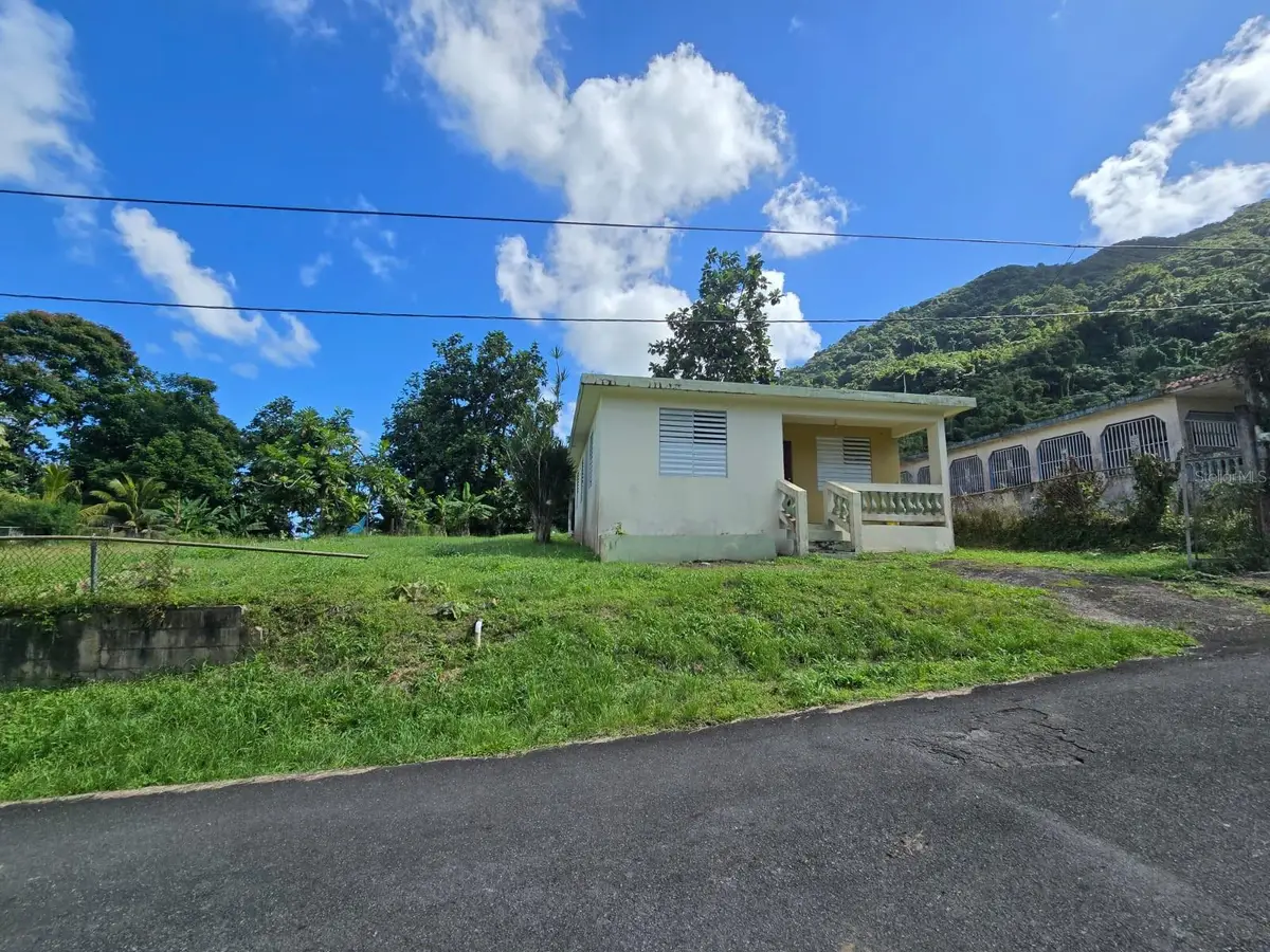 252 Calle Felicita Pinto Morales Comunidad Playita, Yabucoa, PR 00767 - Image #1