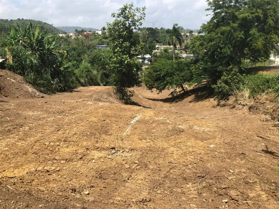 Bo Buena Vista , Carr 167 Km.hm 13.9, Bayamon, PR 00956 - Image #2