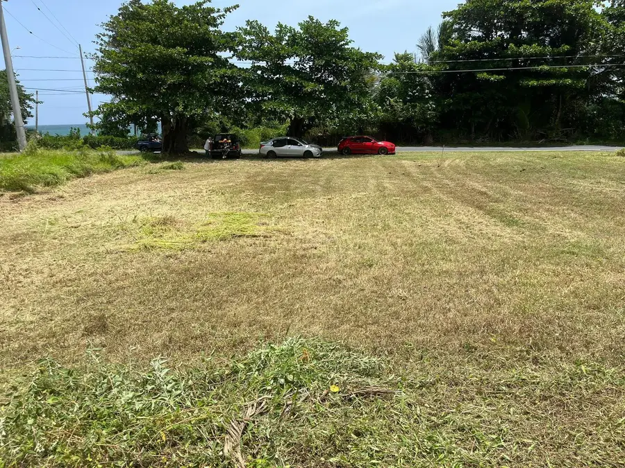 Bo. Guardarraya Km.hm 111 3 Street, Patillas, PR 00723 - Image #2