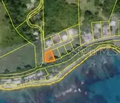 Bo. Guardarraya Km.hm 111 3 Street, Patillas, PR 00723 - Image #3