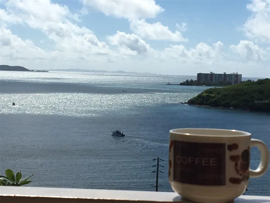 800 987 State Road #1604, Fajardo, PR 00738 - Image #3