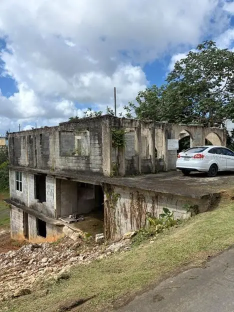 PR-156 KM 49.7 INTERIOR Sumidero Ward, AGUAS BUENAS, PR 00703