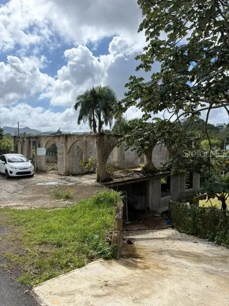 PR-156 KM 49.7 INTERIOR Sumidero Ward, Aguas Buenas, PR 00703 - Image #2