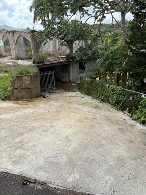 PR-156 KM 49.7 INTERIOR Sumidero Ward, Aguas Buenas, PR 00703 - Image #3