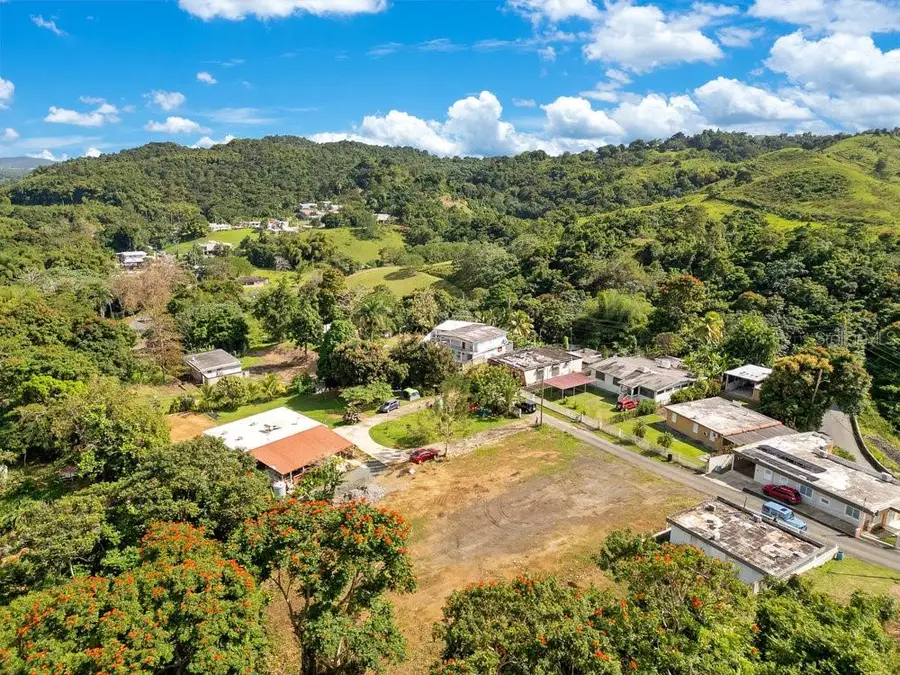 BO PEA POBRE Solar #1 Carr 31, Naguabo, PR 00718 - Image #3