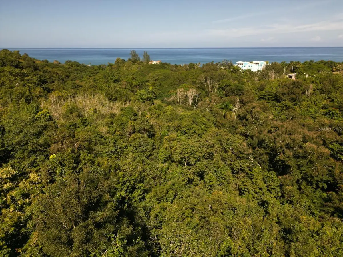 SOLAR 12 Bo Guaniquilla, Aguada, PR 00602 - Image #1