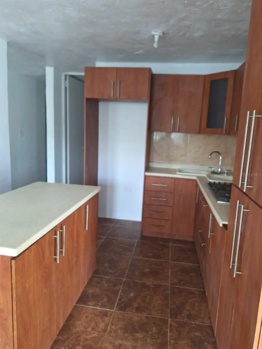 Urb Villa Guadalupe Calle 18 #CII-10, Caguas, PR 00725 - Image #3