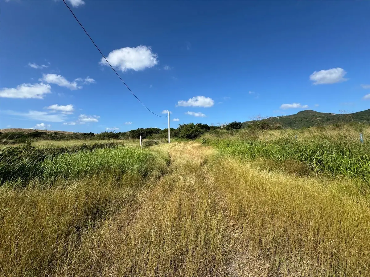 Carr. 542 Bo. Jauca, Sector Cayure Predio 119, Santa Isabel, PR 00757 - Image #1