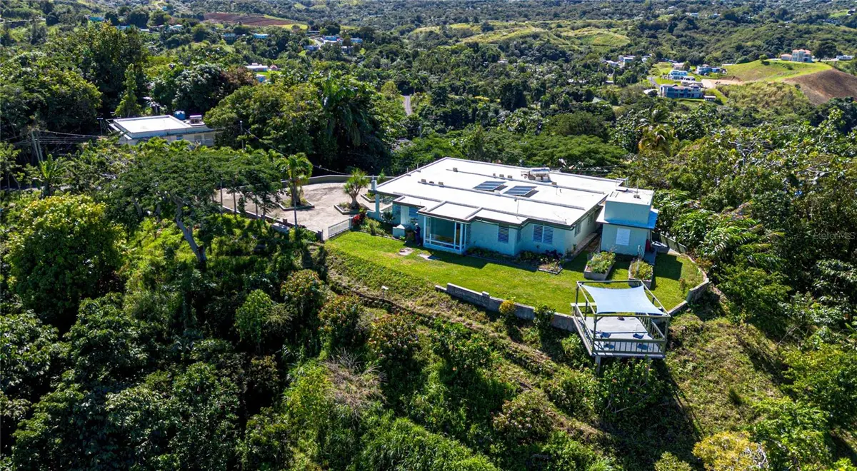 PR 811, k.m. 4.0 interior Palos Blancos Sect. Los Ramos, Corozal, PR 00783 - Image #1